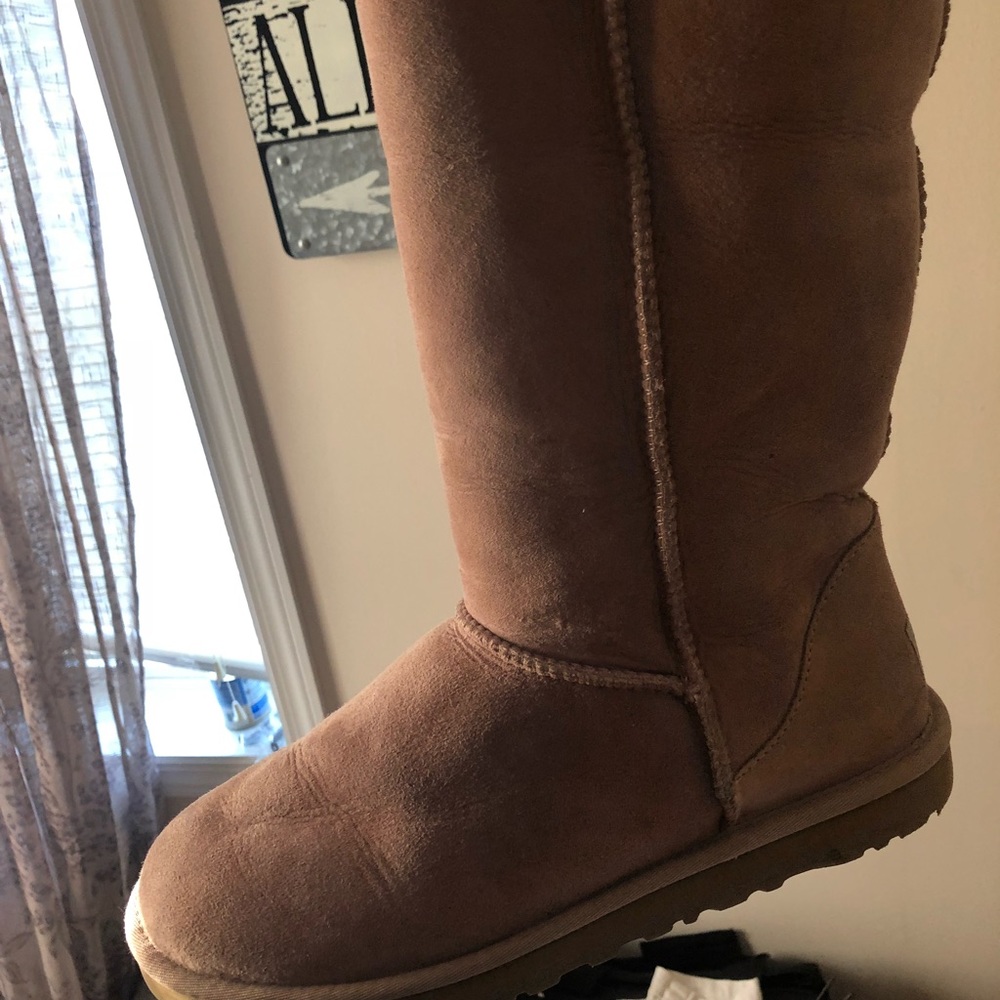 Womens ugg tall boots